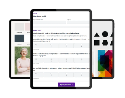 Brand DNA Profiling riport részlete — márka-archetípus és DISC eredmény